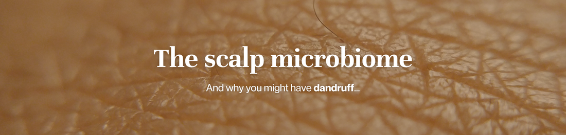 dandruff and the scalp microbiome
